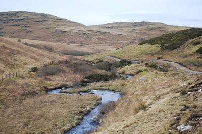 Walk photo
