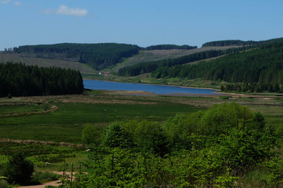 Walk photo