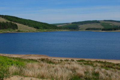 Walk photo