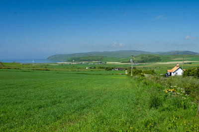 Walk photo