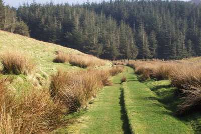 Walk photo