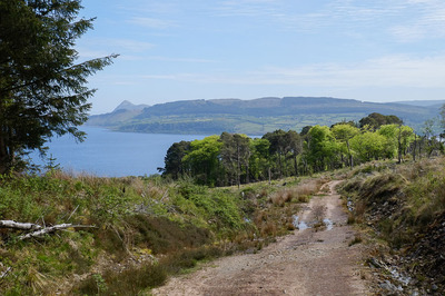 Walk photo
