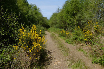 Walk photo