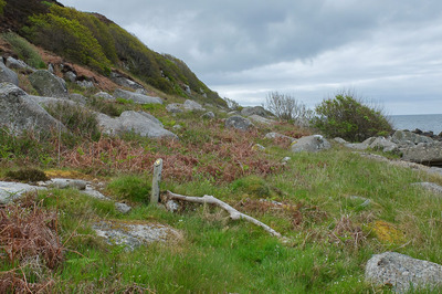 Walk photo