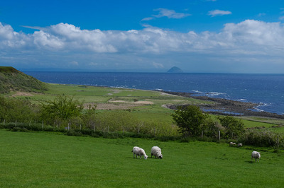 Walk photo