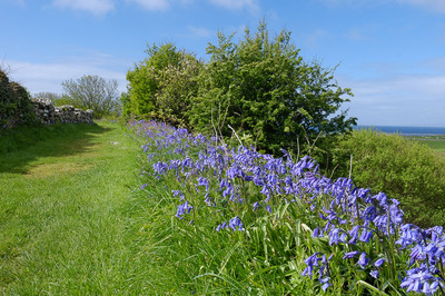 Walk photo