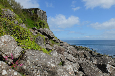 Walk photo