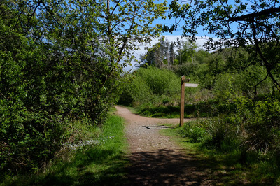 Walk photo