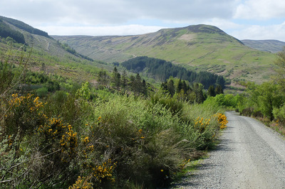 Walk photo