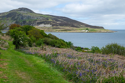 Walk photo