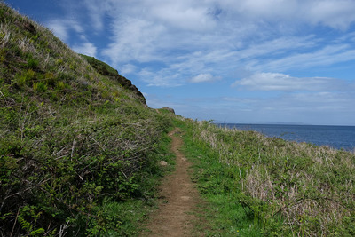 Walk photo