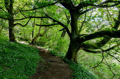 Walk photo