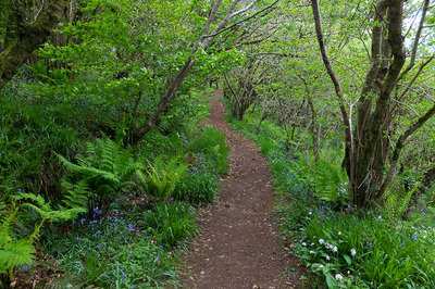 Walk photo