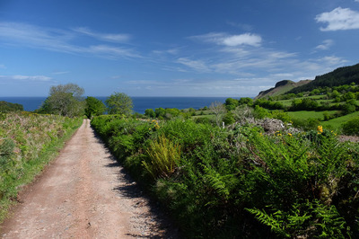 Walk photo