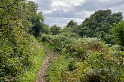 Walk photo
