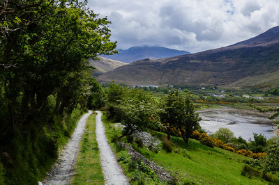 Walk photo
