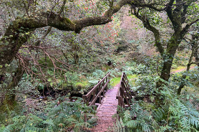 Walk photo