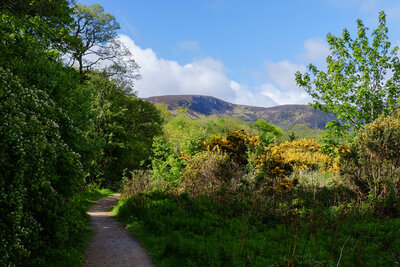 Walk photo
