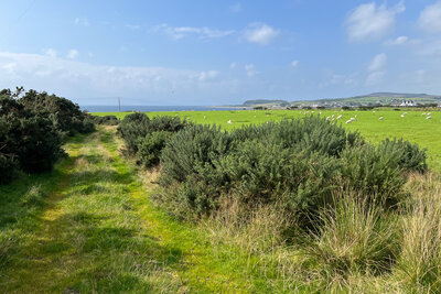 Walk photo