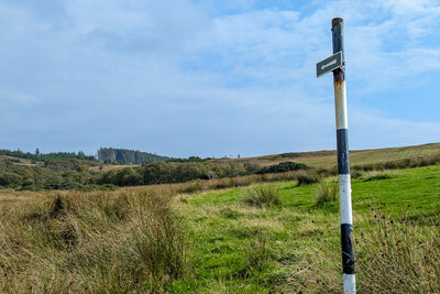 Walk photo