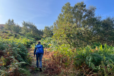 Walk photo