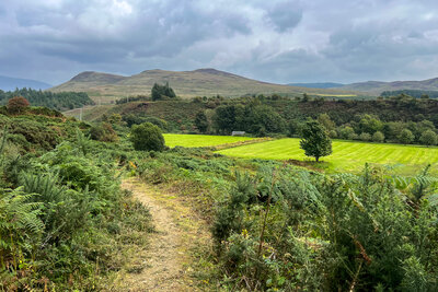 Walk photo