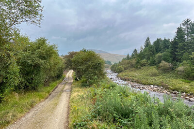 Walk photo