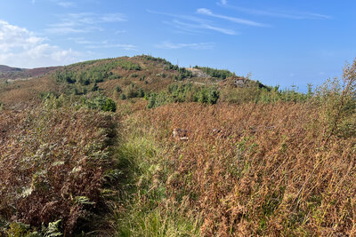 Walk photo