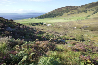 Walk photo