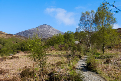 Walk photo