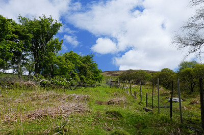 Walk photo