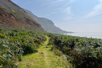 Walk photo