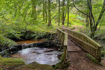 Walk photo