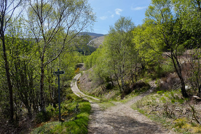 Walk photo