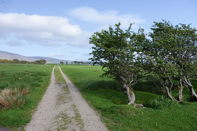 Walk photo