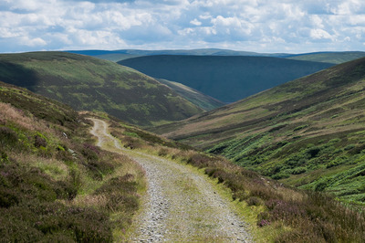 Walk photo