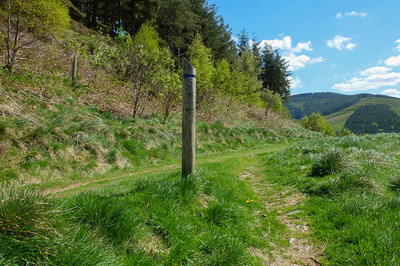 Walk photo