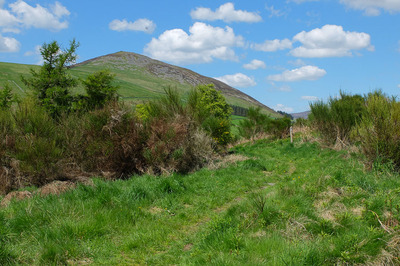 Walk photo