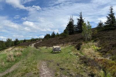 Walk photo