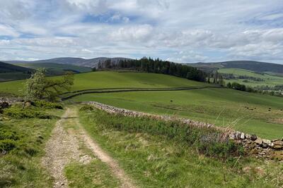 Walk photo