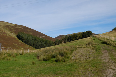 Walk photo