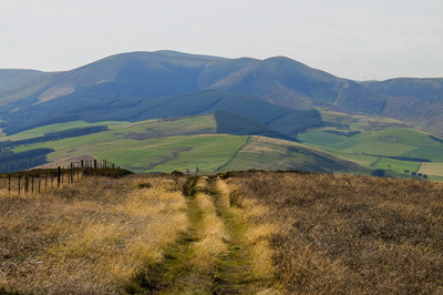 Walk photo