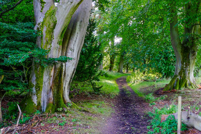 Walk photo