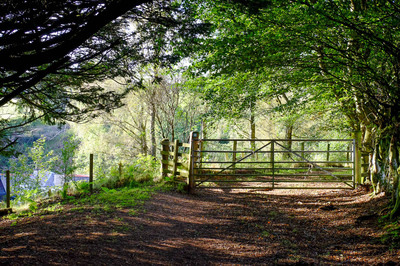 Walk photo