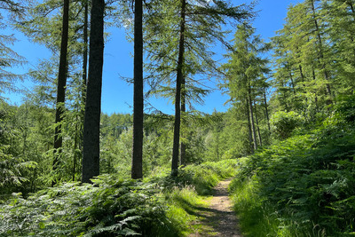 Walk photo