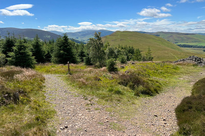 Walk photo