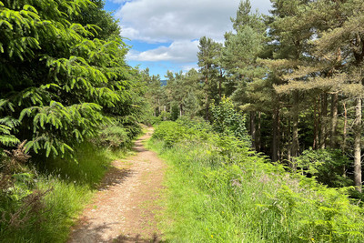 Walk photo