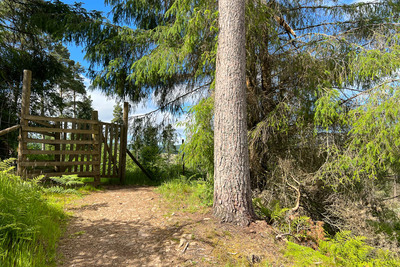 Walk photo