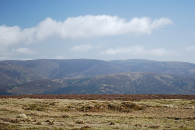 Walk photo