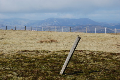 Walk photo